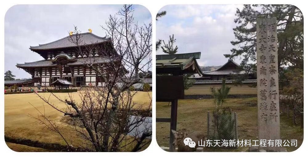 收获新体验，奋斗新征程